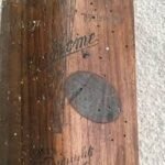 The Next Generation Solution for Woodworm Control