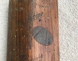 The Next Generation Solution for Woodworm Control